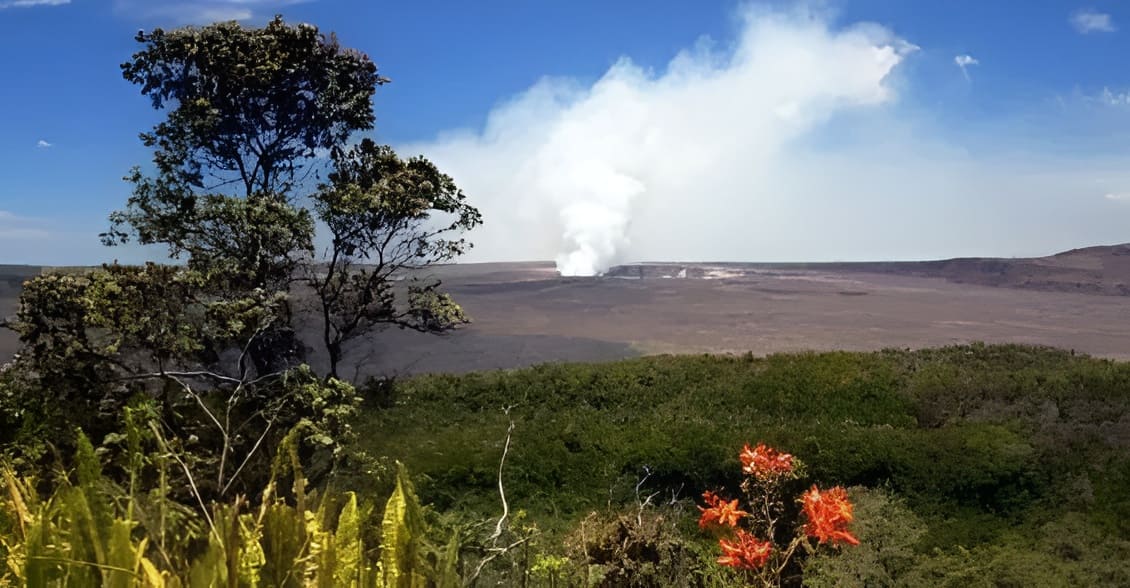 Roberts Hawaii - Hilo Volcano Tour